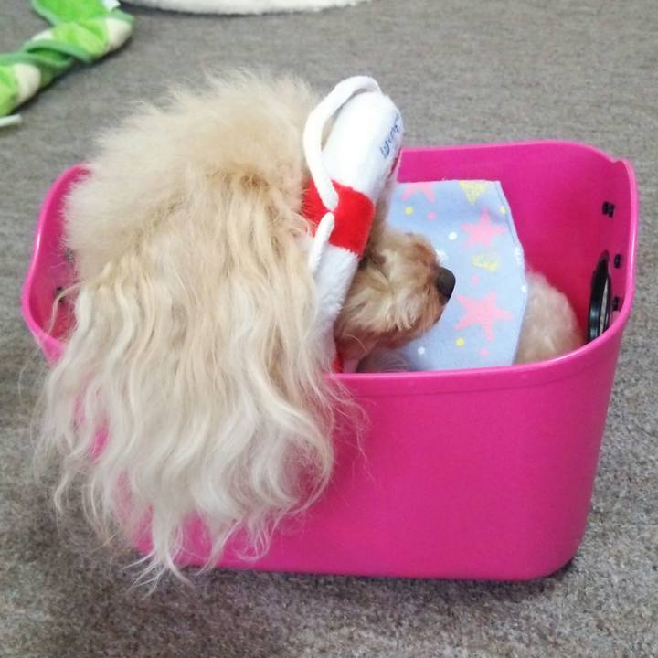 261d4cc7 3eb1 46eb a032 d8837275b86d 1534834903812