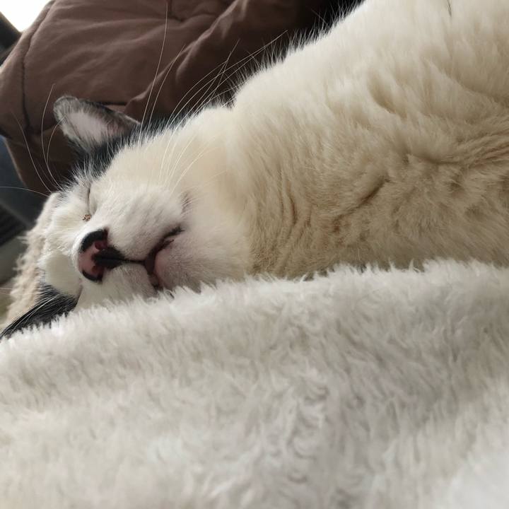 261d531d 370b 48d4 9d02 911024be3242 1554675157979