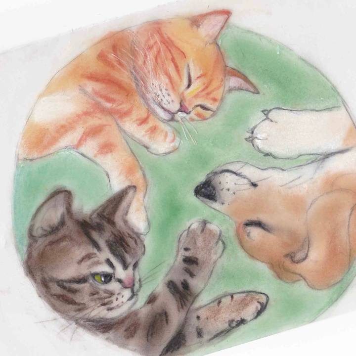 261d9ef1 fb02 48f7 b23e 3c3efd876889 1592141653533