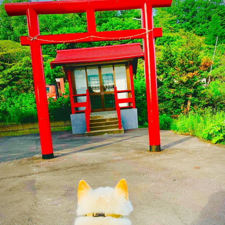 261dcba2 22aa 4bef 8b01 46981317ef99 1623016510718