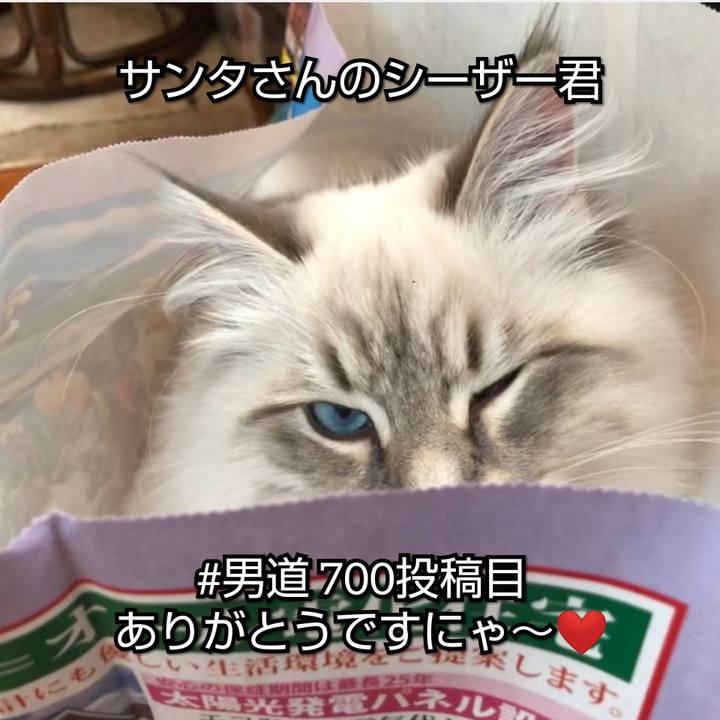 261e18ff 0115 4d5c 8627 a24a13ad4f71 1557550032244