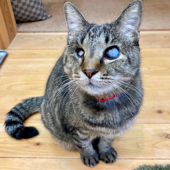 261e2131 b9ff 4c88 8089 5cbd8430e7ab 1642589743850