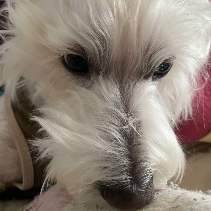 261e4e13 3c5e 4737 b1d0 57da53e5b5cc 1746316203462