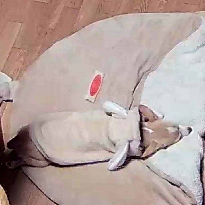 261e52fa ff07 4dd8 b73c 11d0ca180d54 1673334576045