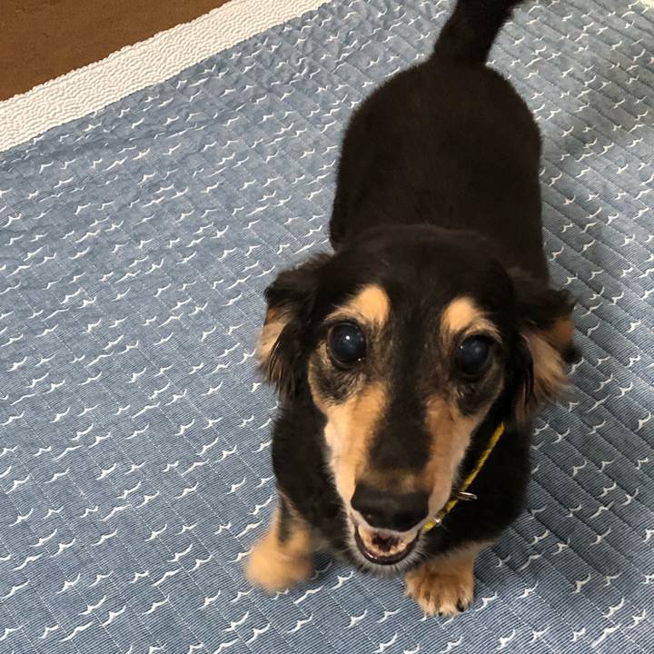 261e6c2a 3025 4c1d a705 2ff6e940a612 1592653920468