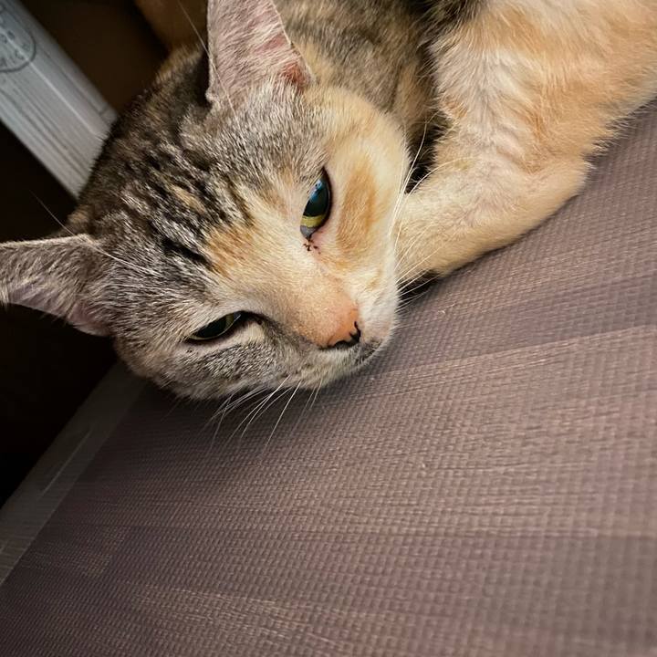 261e8710 3d8d 42d0 90a3 c92c3809212e 1609166203245