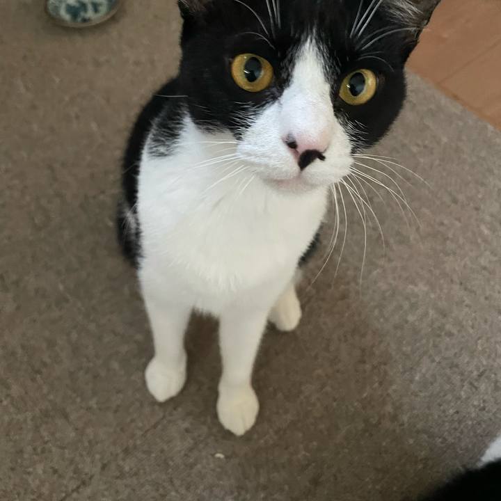 261ea13f 7df6 4578 a55c 4649a83d0611 1692180900818