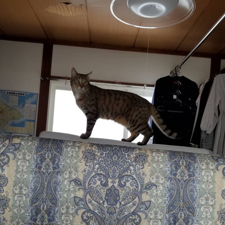 261edf10 19c3 4fc3 a193 6a7d0b663ba1 1649080166090