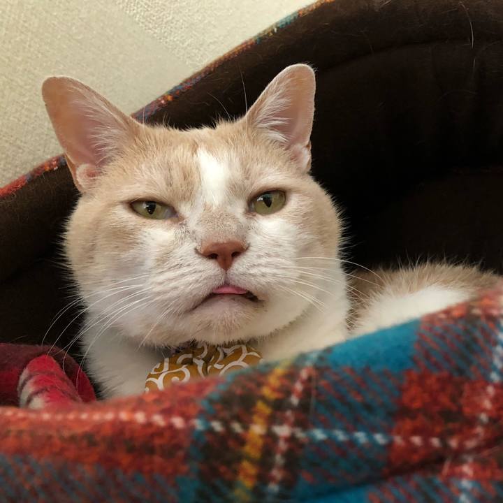 261ee800 063f 493a a16e 7d250e75db15 1591880630485