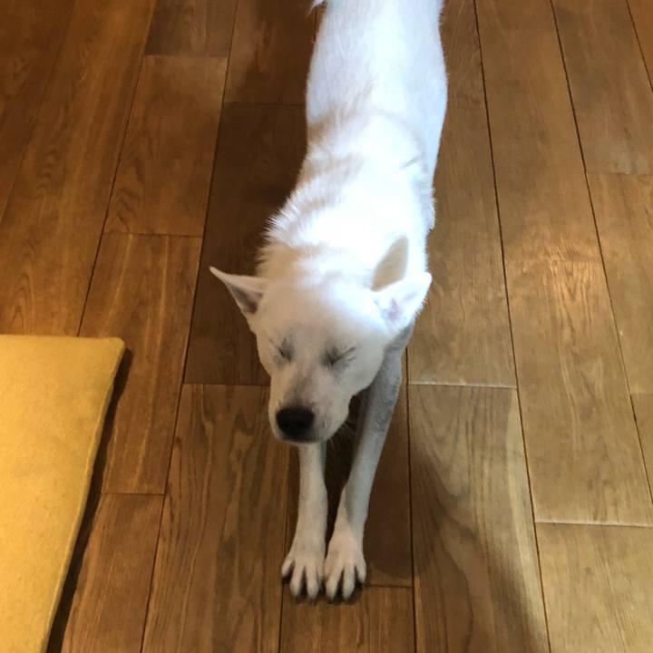 261eef3c 2d20 40d1 952b 7f87e622fd52 1536427580652