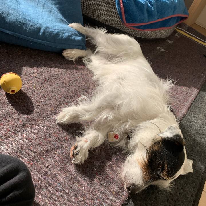 261efc6b 4875 452d 8505 5a394e8c66b2 1610080084872