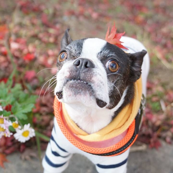 261f0294 3bfd 45b8 a759 f941c1b03084 1511426662356