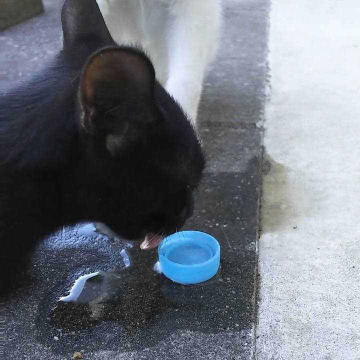 261f07a9 a31f 4ec9 a999 1a2f3ff815db 1534915081038