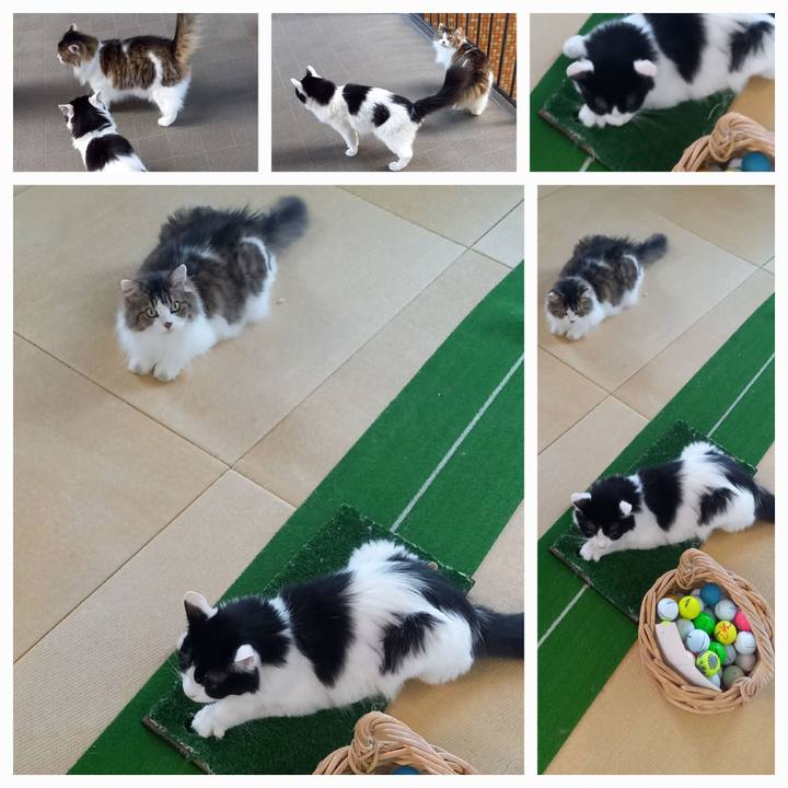 261f0e2e 57ac 4b02 9be0 744e87a22729 1690445873633