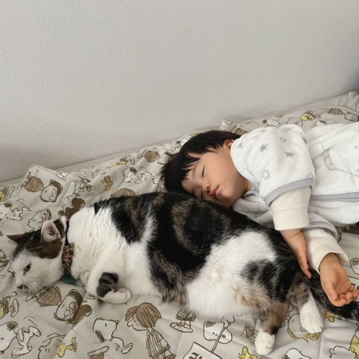 261f10a1 20df 43ec 92a1 24b3e299b62b 1644728095143