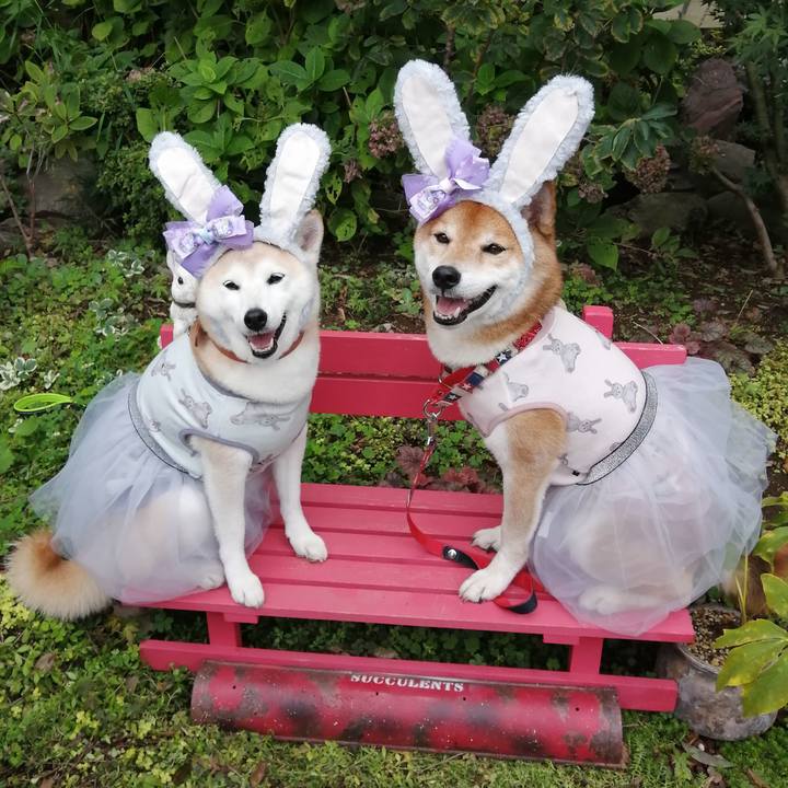 261f2b31 b0ce 48f9 8618 ea891e30d700 1663993707365