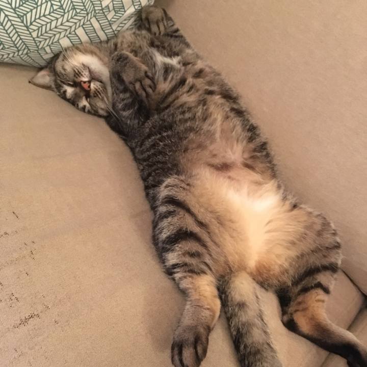 261f679e a872 443c 80dc 74409334fbaf 1556106983601