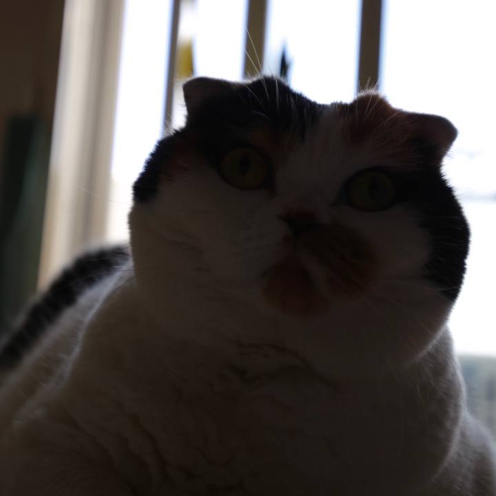 261f69c1 1884 41e8 a158 d7dccc2b1dcb 1569459579342