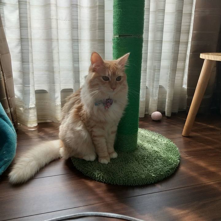 261f6bcd 2f63 45eb a274 7d9606cabc93 1630208403713