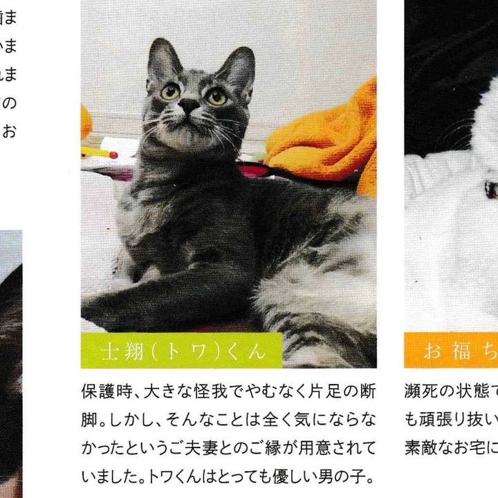 261fbe10 673e 44f6 95bf 9cb10646aed9 1520242065524