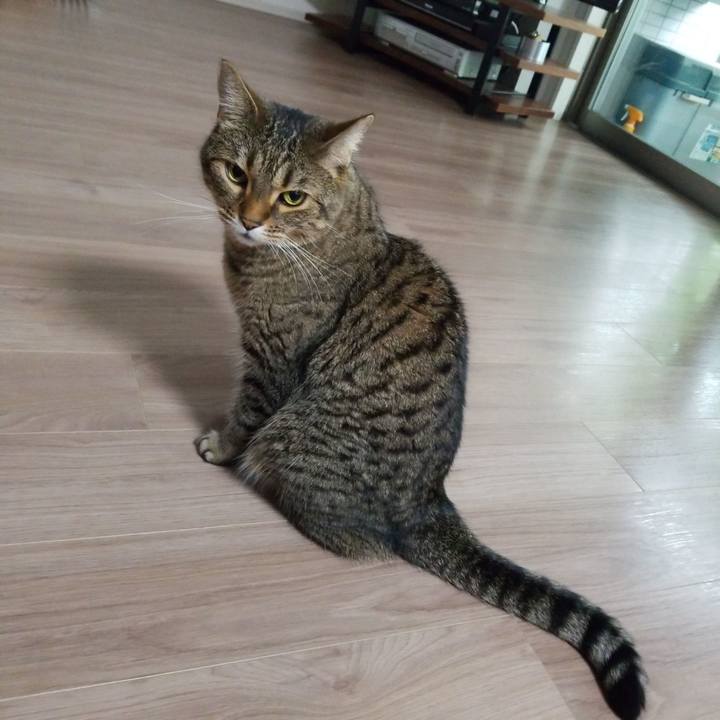 261fc75f 4aca 404e 9f80 9f5a1c49109e 1595464040854