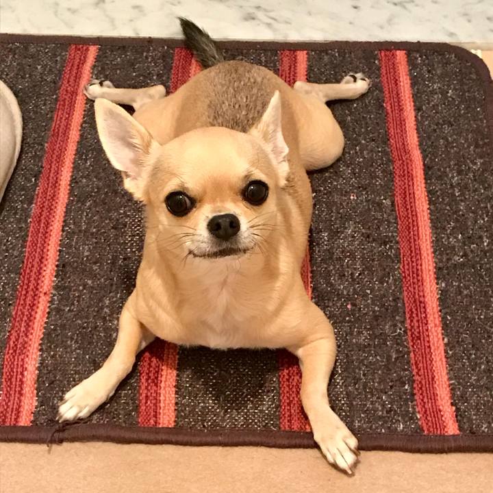 261fe41e 6e71 42e8 8016 e08c4a1a1158 1508470654273