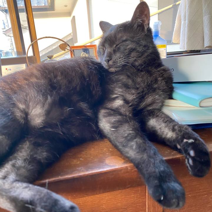 261fe674 5745 4cef 9e01 e84bd7fe2c8c 1589279761892