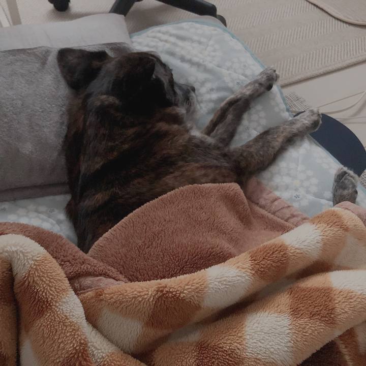 262009fe 6c19 4d38 8476 309d01681a4d 1621287150285