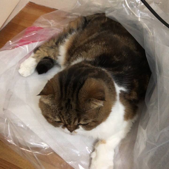 26201055 7e12 47cf 9ec1 92ec215ac473 1538665000690