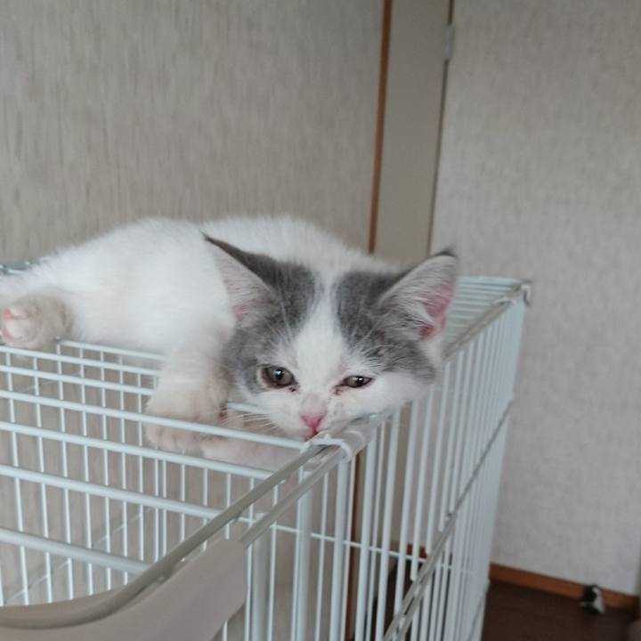 26201a61 c1e0 4ad1 87d9 a60f1967ed7a 1527032850065