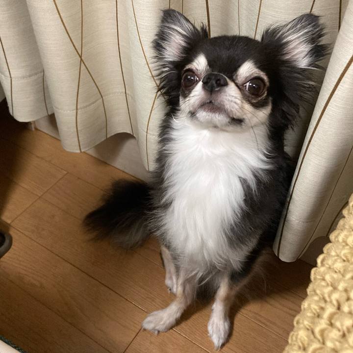 26209a97 8736 490a 8397 0c41da07add1 1660401158687