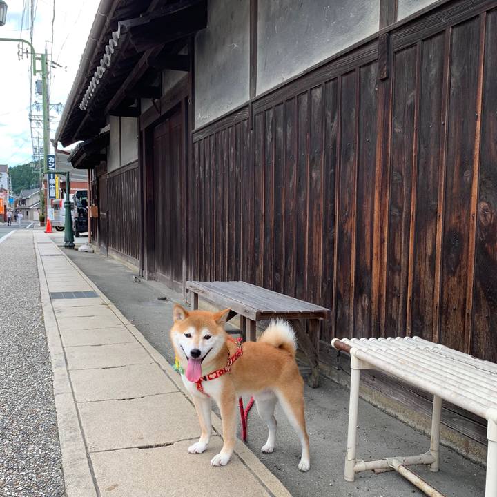 2620b61f 61d5 4d71 8a57 e99a4c773f37 1565599815925