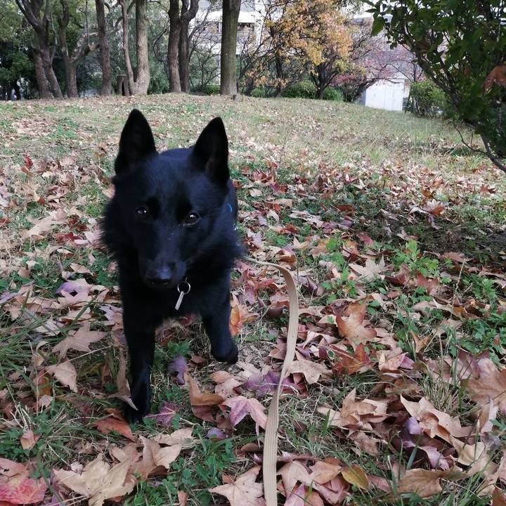 2620ba86 4dc8 4feb bb6f c6589802e3f2 1606001438364