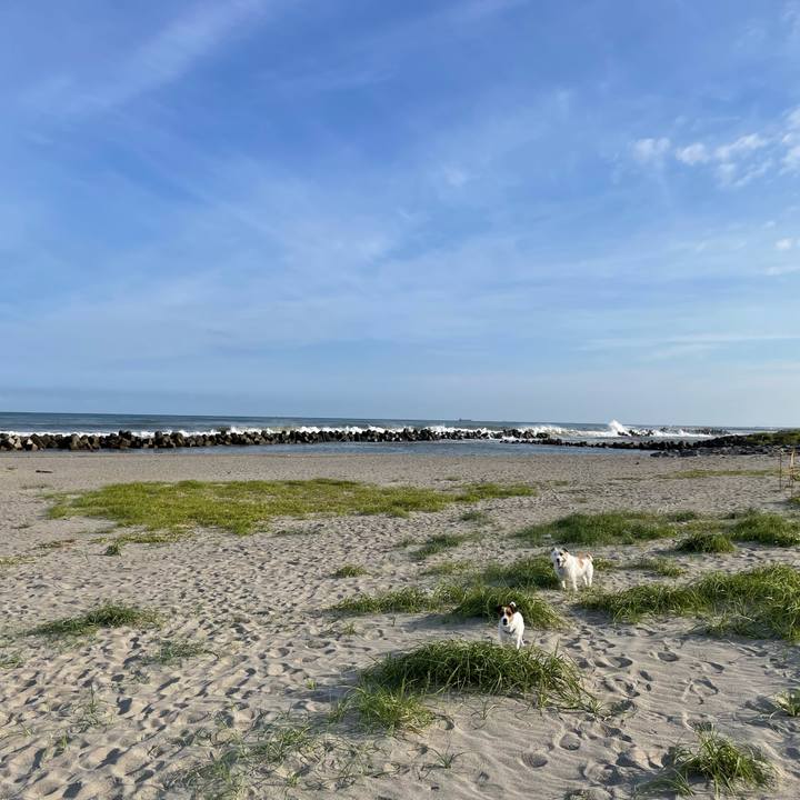 2620e97d f8d4 44dd a50d 15e891c13f35 1663201402547