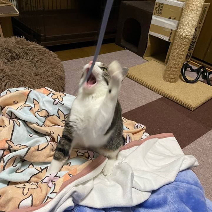 262108e7 dd81 441f a381 3aeb2e97ca4a 1730813184835