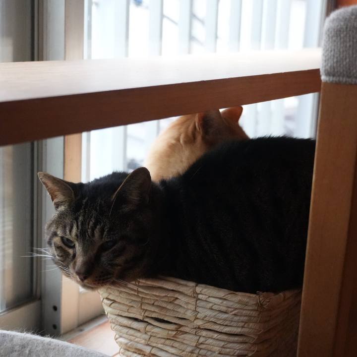 26215eaf 0384 43cb a567 e06e58b9a01a 1748732133456