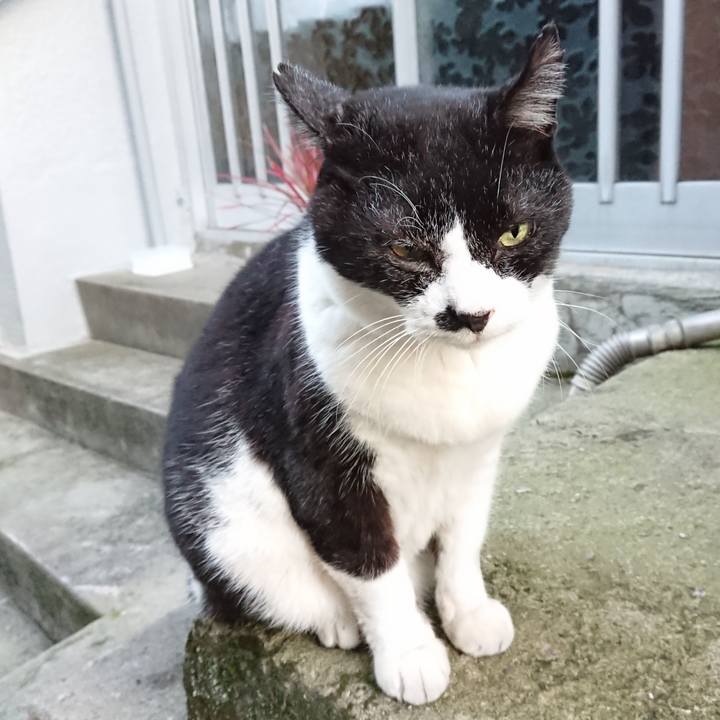 2621b0b2 da37 4cc0 9013 0e08592a399e 1666510618013