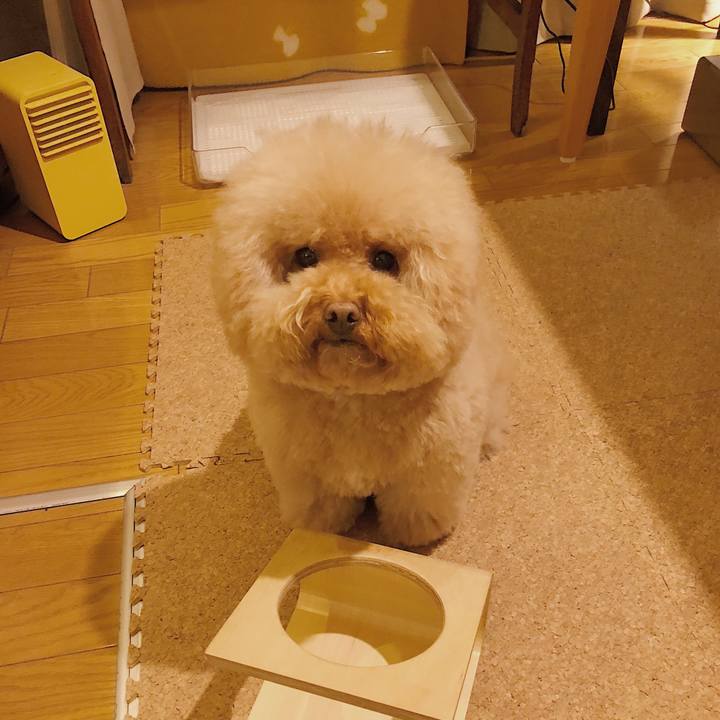 2621e9f9 1e51 47b1 9ed7 256f3d049703 1515846768858