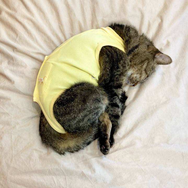 26221e26 b03d 4d36 a18a 6e834cd3fc89 1683356611178