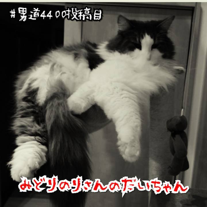 26222d01 730c 4180 807f b239d3bdccfc 1576572134176