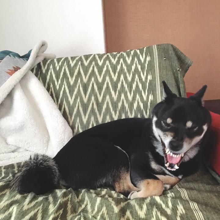 2622394d 9930 4964 b899 c91f3069c946 1552722642534