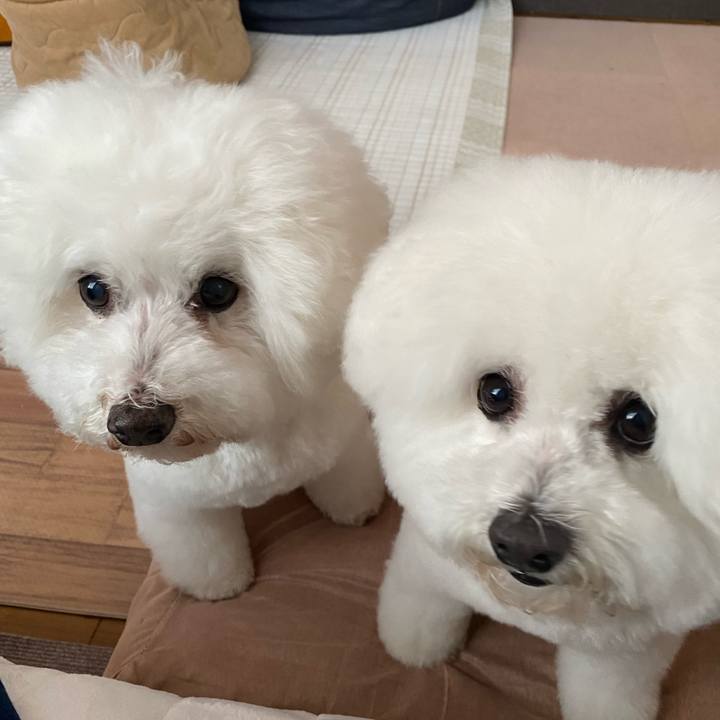 26223b1f e845 4c36 88d3 588a2b92974c 1670301068117