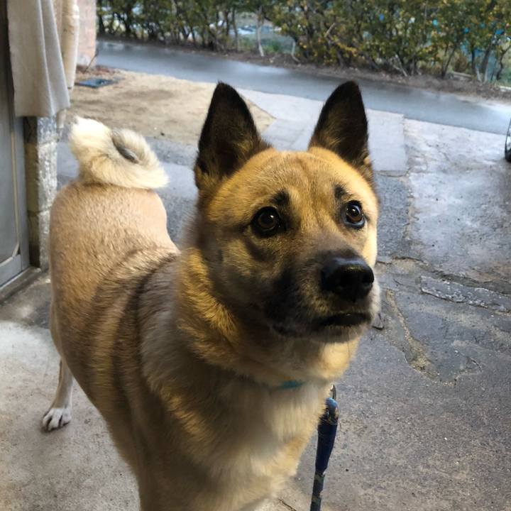 26224cf1 df58 46fb a1d4 cfed4342de22 1611313897968