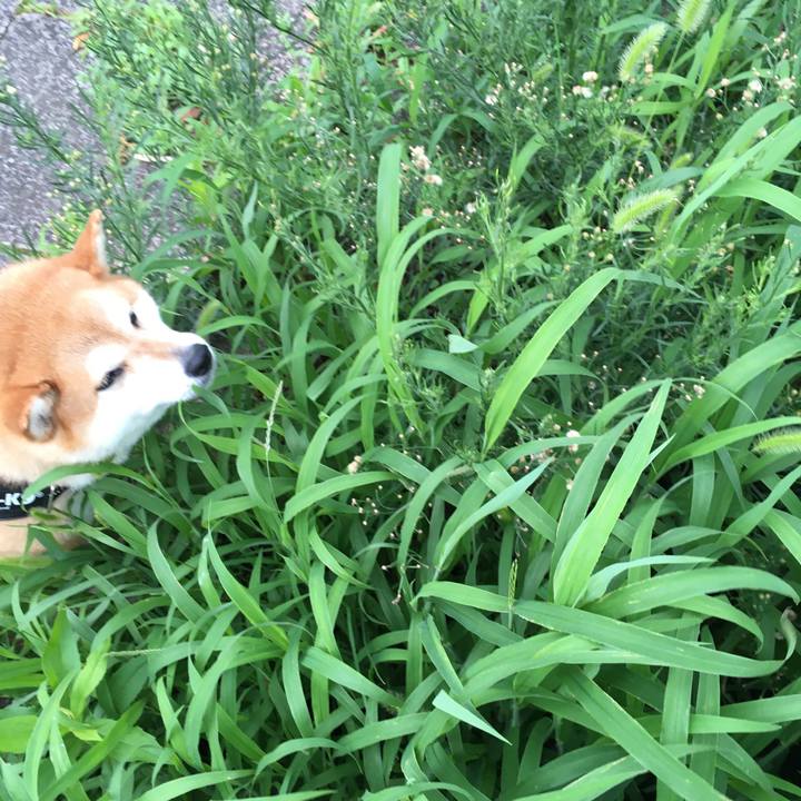 26225cfd 1af6 4089 8f56 2707792995c3 1594443311858