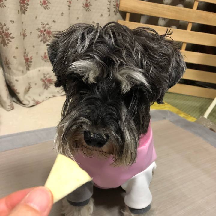 2622748d d733 4999 aff1 bd41fe9ad3a9 1618669693850