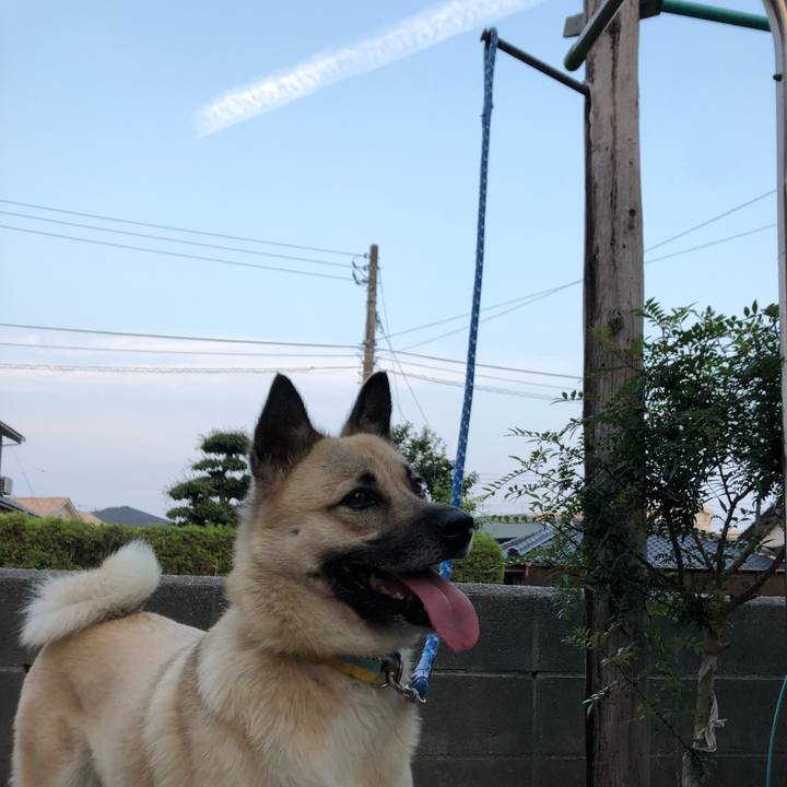 26227ead 8efb 4810 b96d 8992de33d559 1560945583221