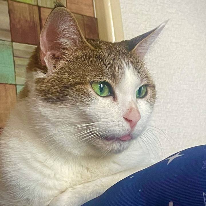 2622b665 7a9f 4451 9c89 b17a792d834c 1628227820535