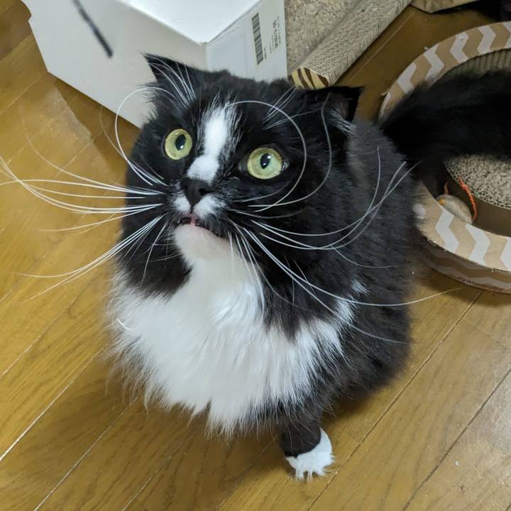 2622f27d 4d67 474f 8a44 a4e4eb6d0e15 1713097880163