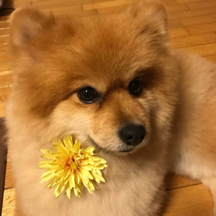 26231c87 4801 4999 8031 d4c64859b8d7 1510365640638