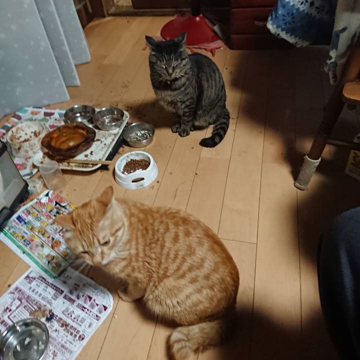 262372f5 0353 4ec5 9dca f9e6290fc61f 1650014596337